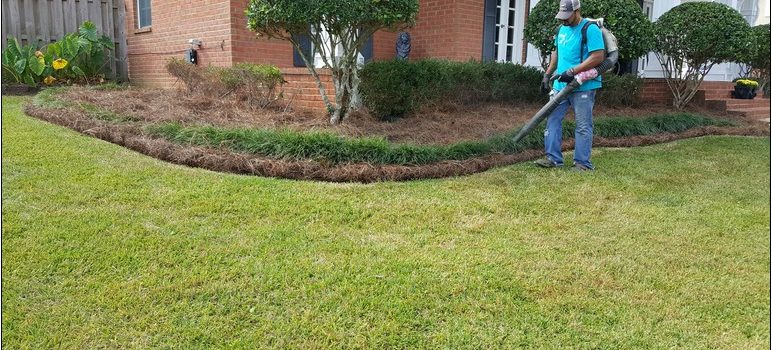 Lawn Care Daphne Al