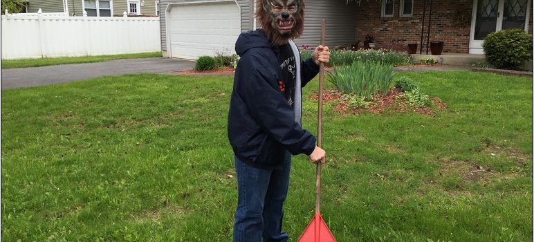 Lawn Care In Liverpool Ny